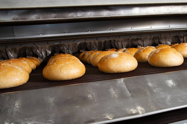 istock Fresh loaves of bread on the conveyor. 1440691625