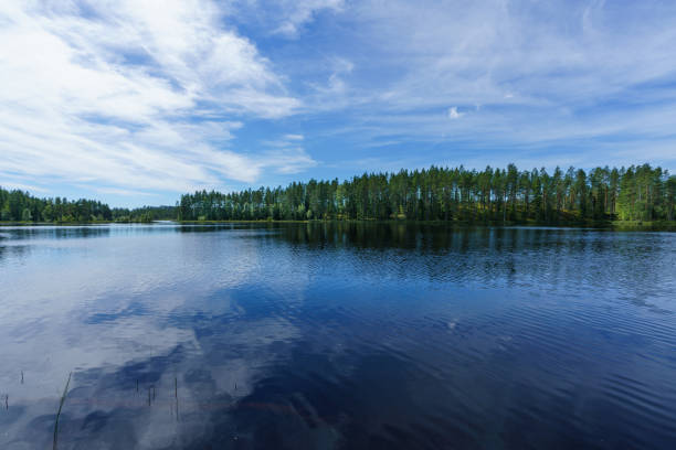 istock Lakeside view in a summer Sweden 1440691783