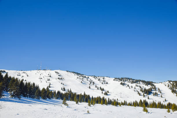 istock Kopaonik clean ski slope 1440695064