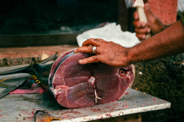 istock tuna fishing in easter island 1440696587