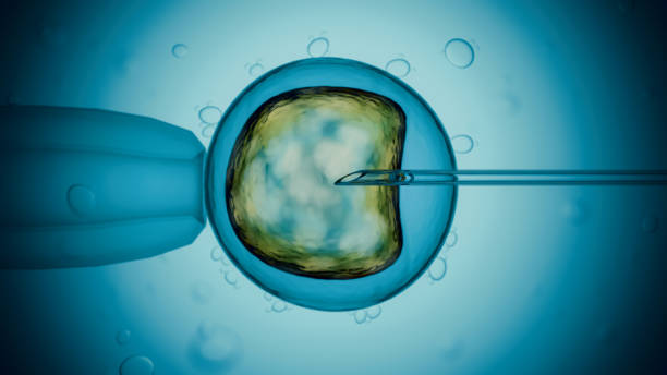 artificial insemination and cell grafting therapy. microscopic view. - microscope view imagens e fotografias de stock