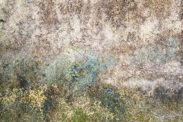 istock Old concrete wall grunge background texture and wallpaper 1440700774