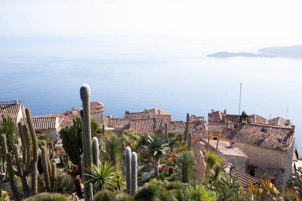 istock Selection of photos from Nice and surroundings in Spring 1440705350