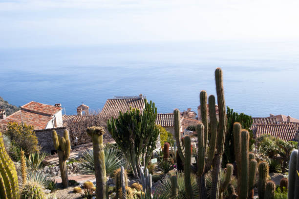istock Selection of photos from Nice and surroundings in Spring 1440705351
