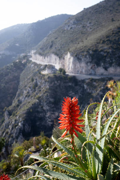 istock Selection of photos from Nice and surroundings in Spring 1440705442