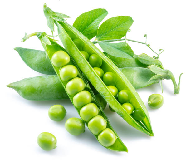 istock Perfect green peas in pod isolated on white background. 1440707704