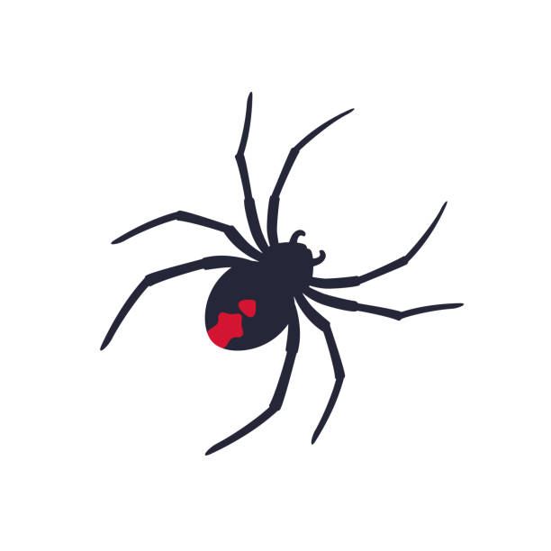 фитнес, здоровье, спортзал модные иконки на кругах - black widow spider stock illustrations