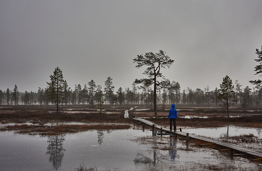 Pyhä-Luosto National Park en Laponia, Finlandia