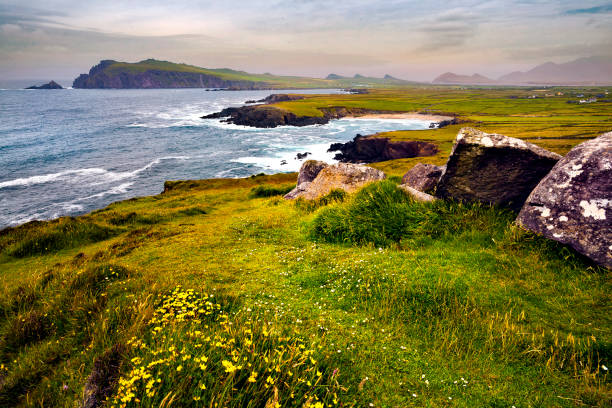 baia di dingle - irlanda foto e immagini stock