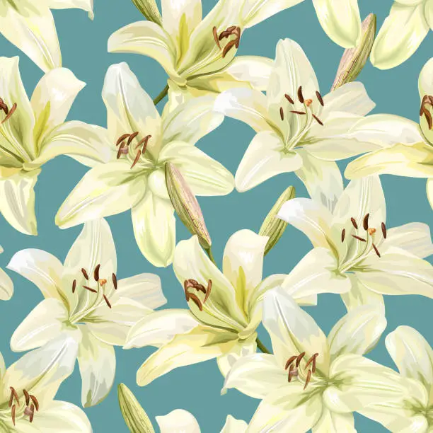 Vector illustration of Seamless repeating pattern white lily flowers on blue background, vector illustration.