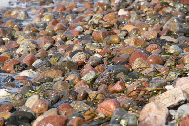 istock colorful pebbles on the beach 1440715218