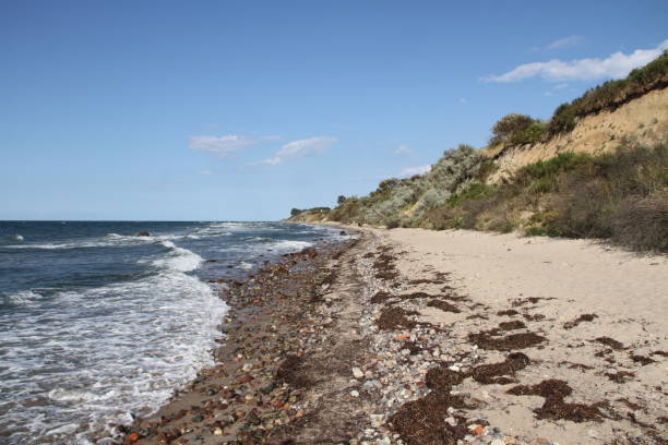 istock Sandy beach on the Baltic Sea coast 1440715243
