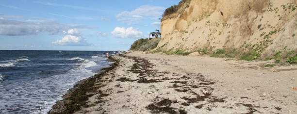 istock Sandy beach on the Baltic Sea coast 1440715302