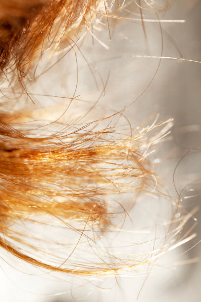 istock Close up hair 1440715880