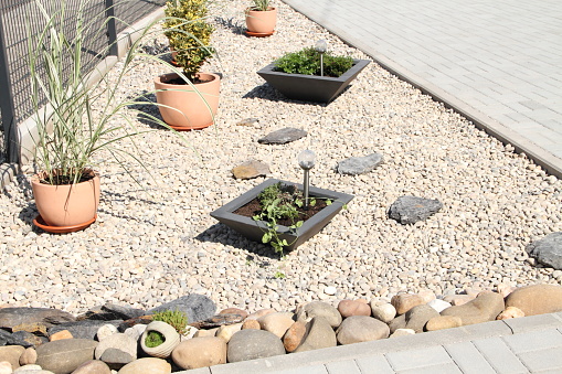 a modern front yard with stones and plant