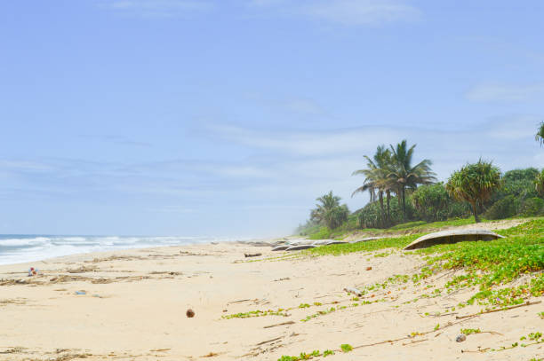 istock Ambila Lemaitso's beach in Madagascar 1440717320
