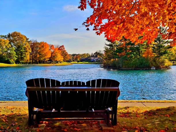 Looking out towards a lake in Ft. Wayne, IN on a clear autumn afternoon.