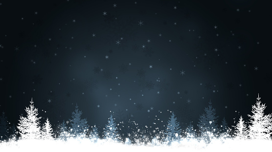 holiday winter christmas night background with snow and trees