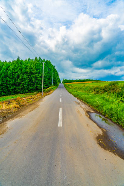 istock Hokkaido long road and nature 1440730662