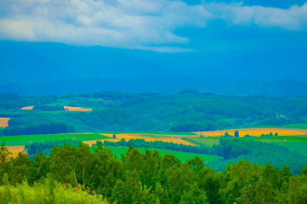 istock Summer landscape from the hill 1440732600