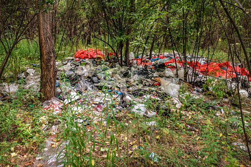 Garbage, plastic in the green forest