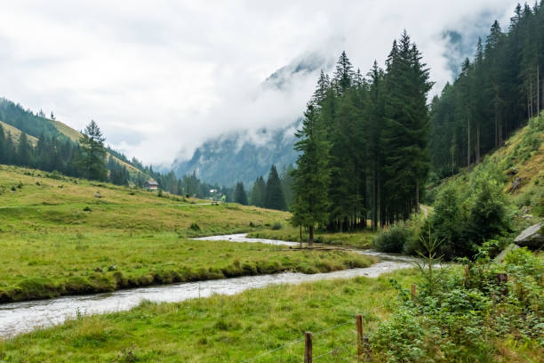 istock Rainy weather during a hike in the Austrian Alps during summer 1440734333