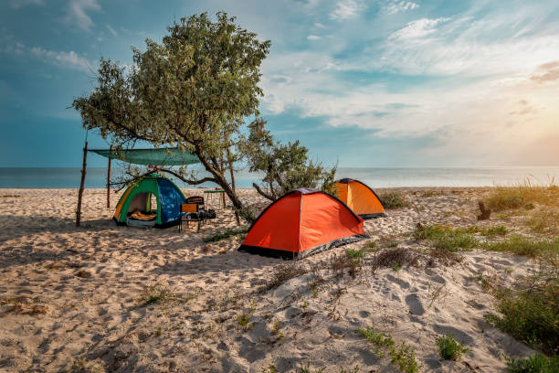 istock Camping tents on the sandy beach 1440734421