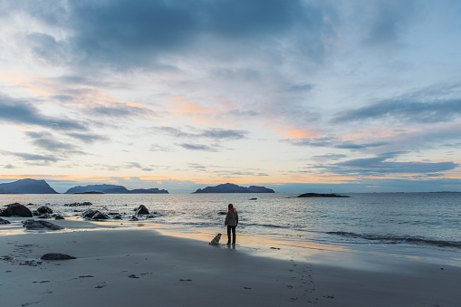 Female with long hair and in a jacket walking with her cute dog - pug breed at the idyllic beach by the sea with a background view of the islands during bright sunset in Norway