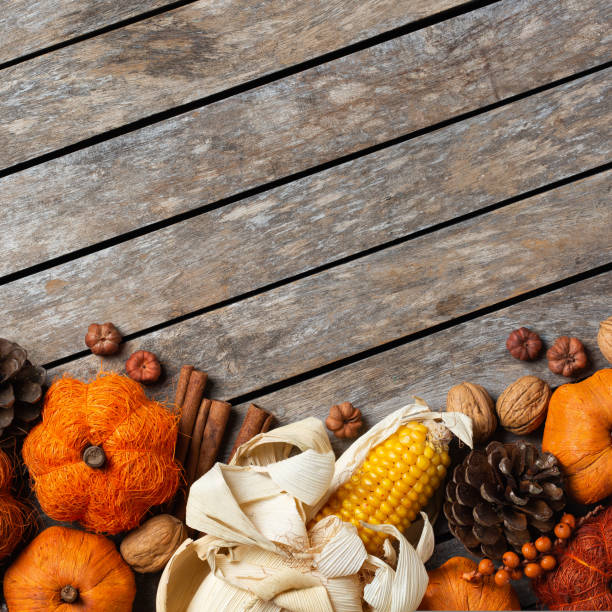 Autumn fall thanksgiving day composition with decorative pumpkins. Flat lay, view from above, still life seasonal background for greeting card, copy space