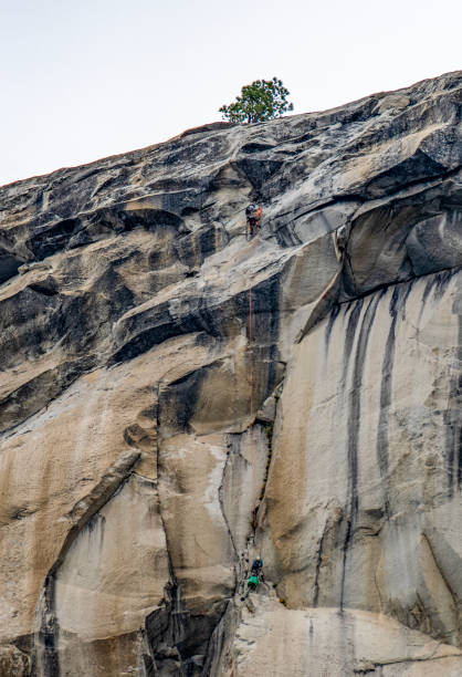 climbers on el cap 4 Two rock climbers are nearing the summit of El Capitan in Yosemite Valley. The summit rises 3,000 feet above the valley floor. 
Yosemite National Park, California, USA
06/22/2022 robert michaud stock pictures, royalty-free photos & images