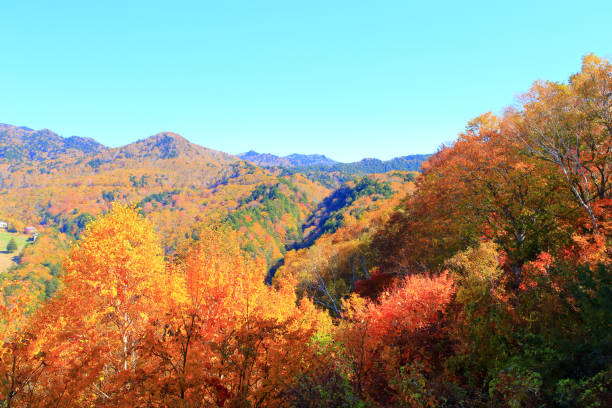 istock Autumn colors mountains in Shiga Kogen 1440743434