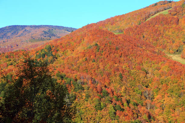 istock Autumn colors mountains in Shiga Kogen 1440743456