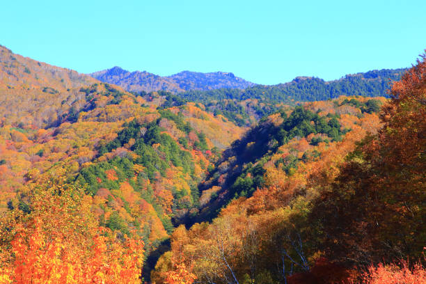 istock Autumn colors mountains in Shiga Kogen 1440743494