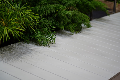 White Wooden walkways in garden