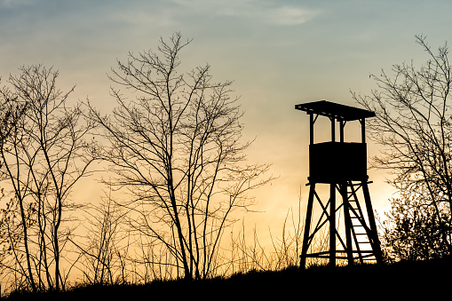 Silhouette of a hunting tower and trees on a glade during the sunset.