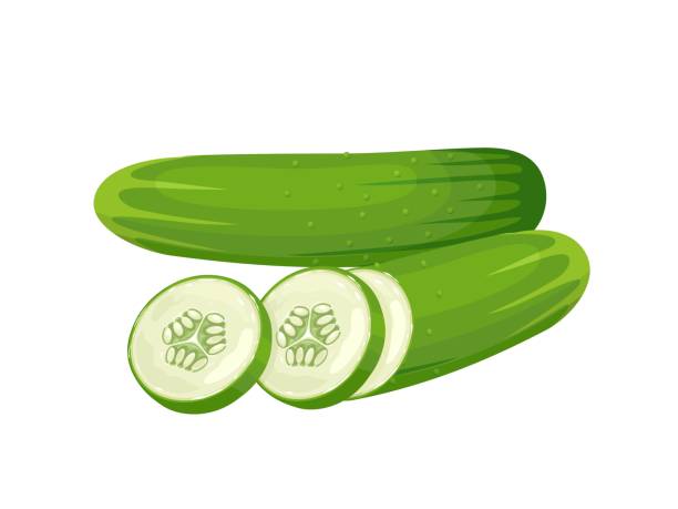 ilustraciones, imágenes clip art, dibujos animados e iconos de stock de pepino - white background horizontal close up vegetable