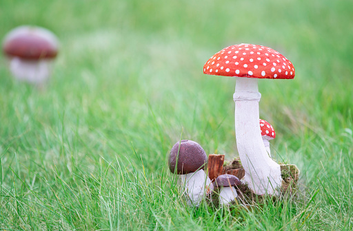 Decorative wooden fly agaric mushrooms on a background of grass.