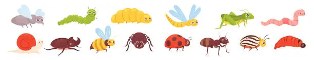 Vector illustration of Cute insects panorama set