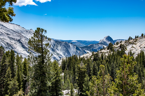 Half Dome dominates the end of Yosemite Valley and is one of Yosemite National Park's most iconic sites. Half Dome rises 4,737 feet above Yosemite Valley at an elevation of 8,844 feet above sea level. This photo shows the north side of half dome as viewed from Olmsted Point on Tioga Road.