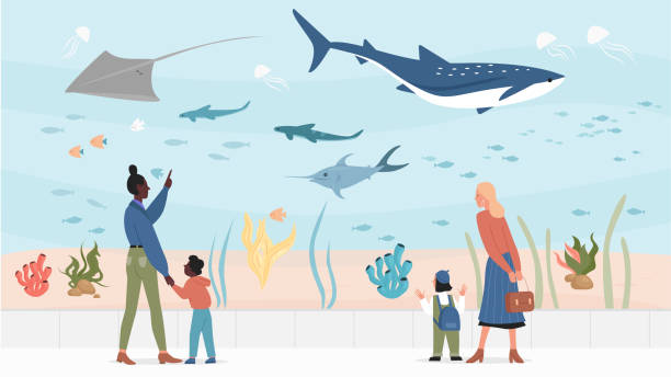 illustrazioni stock, clip art, cartoni animati e icone di tendenza di bambini nell'oceanario, visitatori della gente che guarda paesaggi sottomarini. - field trip illustrations