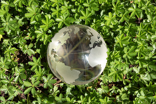 A top view shot of a glass globe in the grass - ecology and world care concept