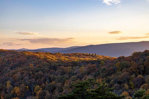 istock Shenandoah National Park with forests and hills under a sunset sky during the fall 1440759831