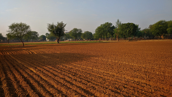 the brown cultivated cropland under the sunlight - green trees background