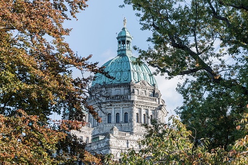 A closeup shot of a dome of the Legislative Assembly of British Columbia in Victoria framed by leaves