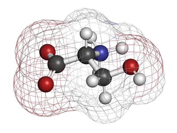 istock D-serine amino acid molecule. Enantiomer of L-serine. 3D rendering. 1440762994