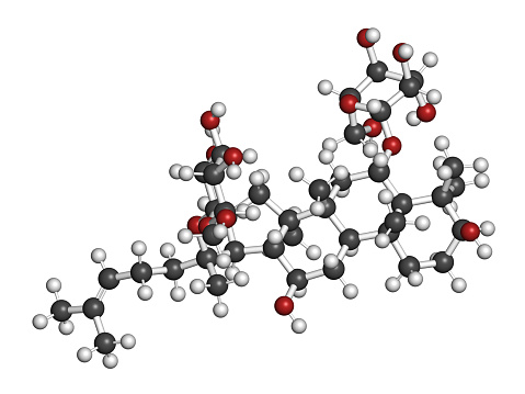 Ginsenoside Rg1 ginseng molecule. 3D rendering. Atoms are represented as spheres with conventional color coding.