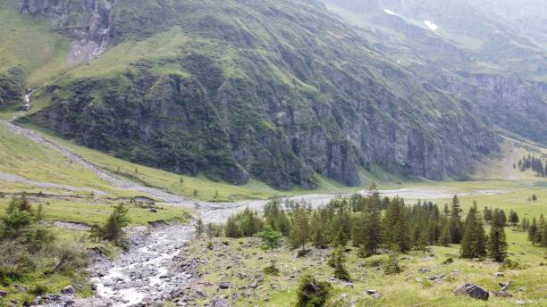 istock Beautiful mountainous landscape with green grass on a sunny day 1440763404