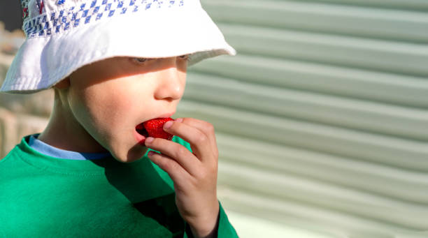 A boy in a panama hat eats sweet red strawberries. Copy space