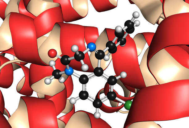 istock Diazepam drug molecule bound to human serum albumin protein, 3D 1440764797