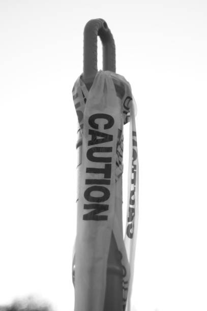 istock Vertical grayscale of pomp with the text 